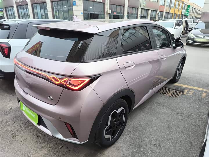 Фото 7 - BYD Dolphin