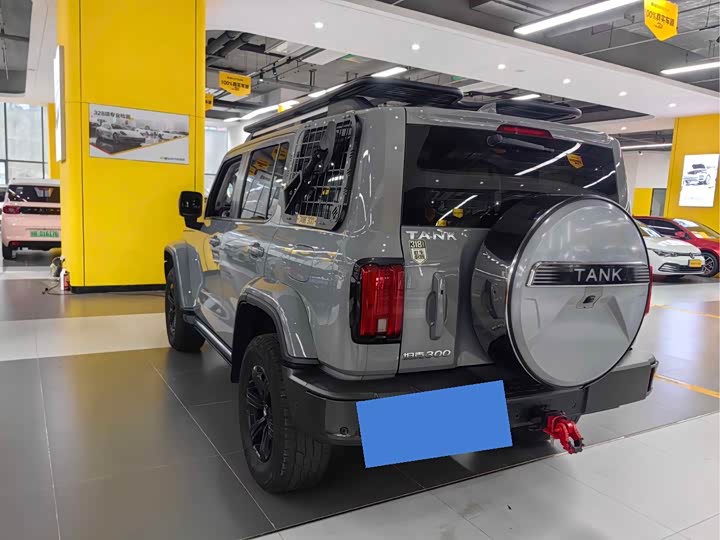 Фото 5 - Tank 300