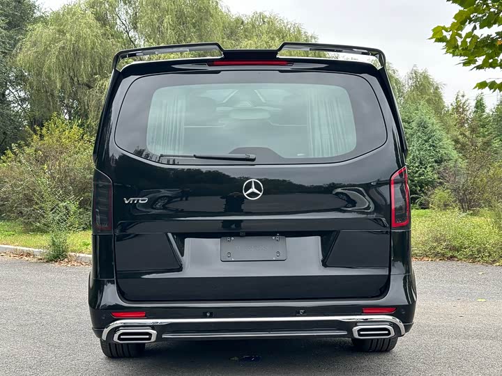 Фото 20 - Mercedes-Benz Vito
