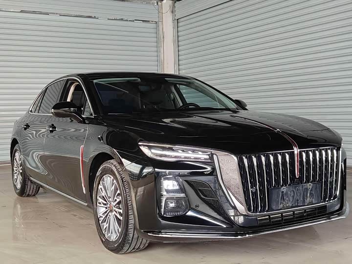 Фото 3 - Hongqi H5