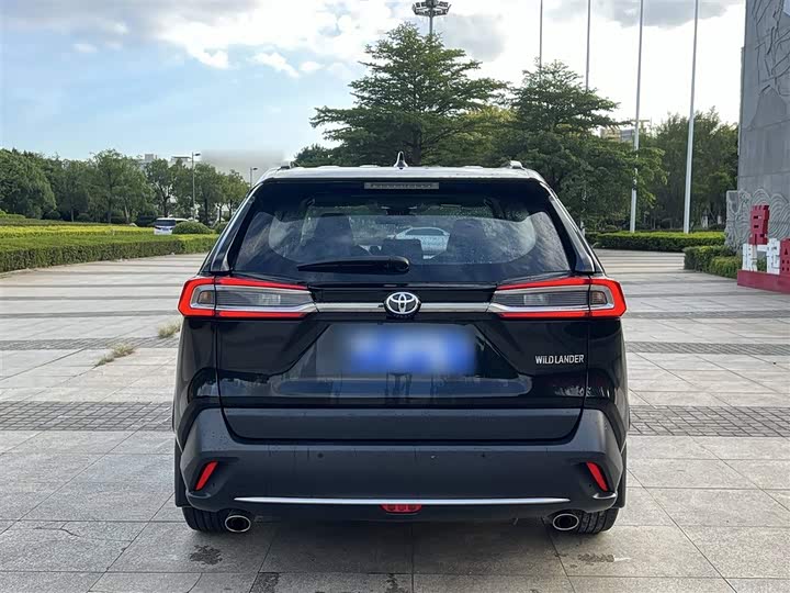 Фото 11 - Toyota Wildlander