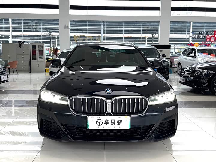 Фото 2 - BMW 5 Series Hybrid