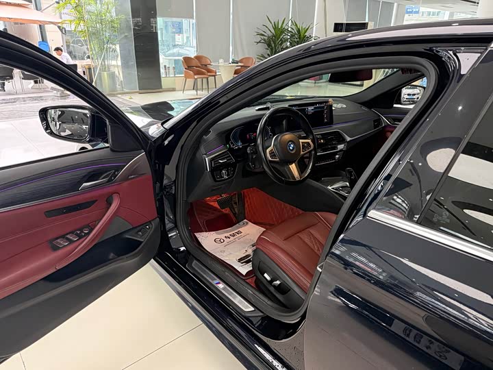 Фото 4 - BMW 5 Series Hybrid