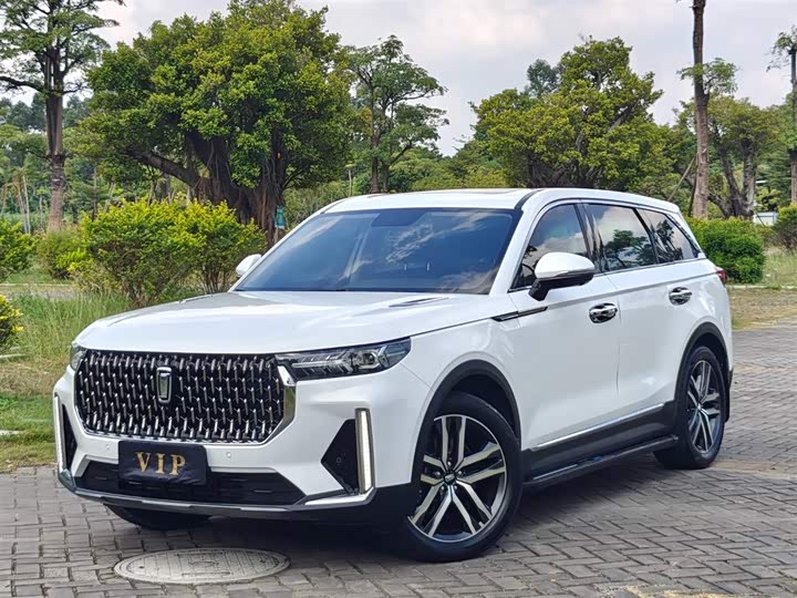 Фото 1 - Bestune T99