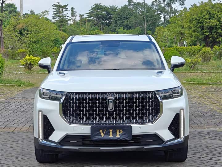 Фото 2 - Bestune T99