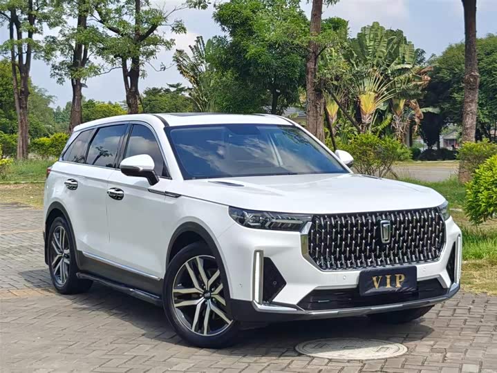 Фото 3 - Bestune T99