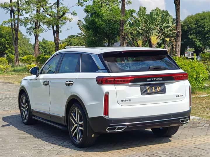 Фото 6 - Bestune T99