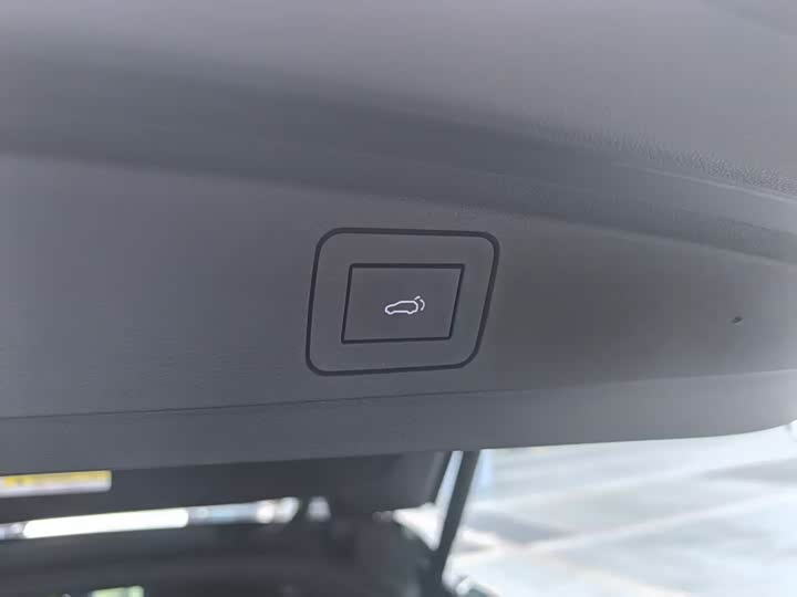 Фото 10 - HiPhi X