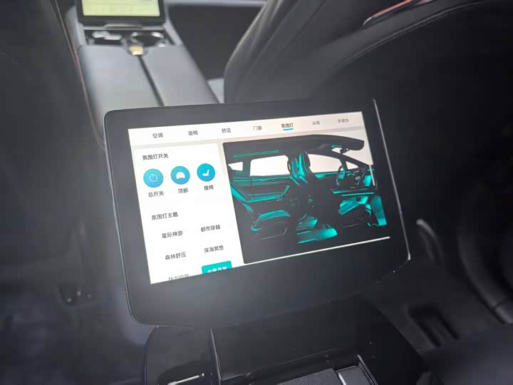 Фото 28 - HiPhi X