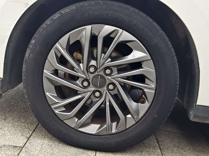 Фото 17 - Maxus Mifa 5