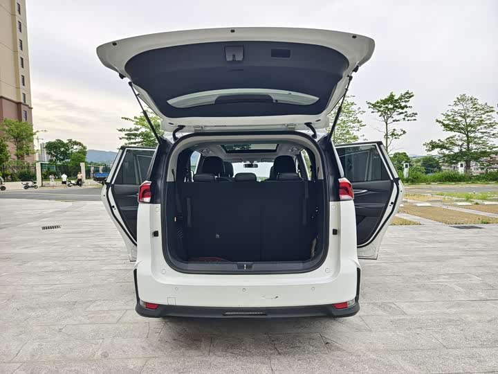 Фото 25 - Maxus Mifa 5