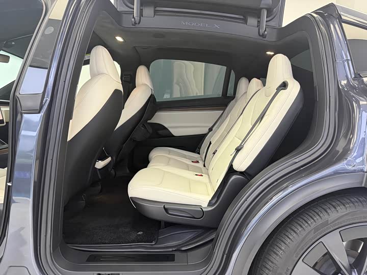 Фото 8 - Tesla Model X