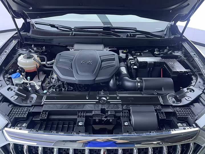 Фото 10 - Hongqi HS5