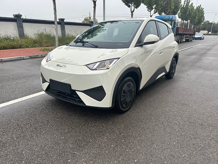 Фото 1 - BYD Seagull