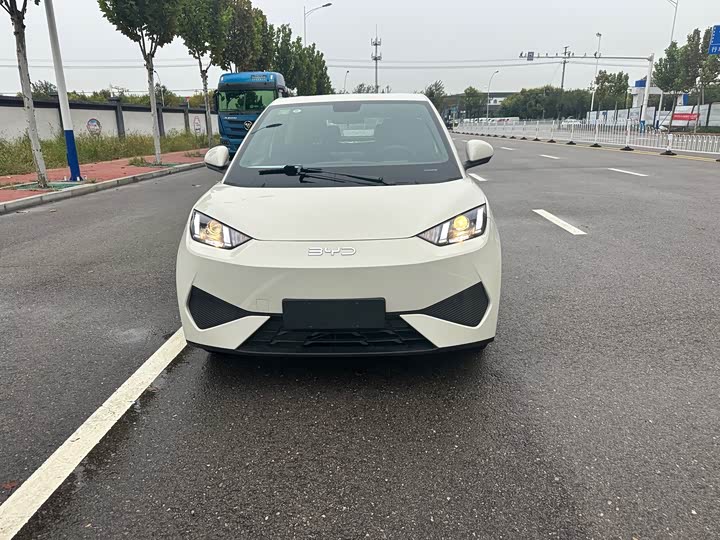 Фото 2 - BYD Seagull