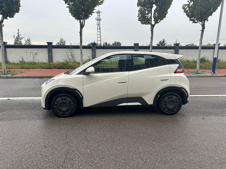 Фото 3 - BYD Seagull