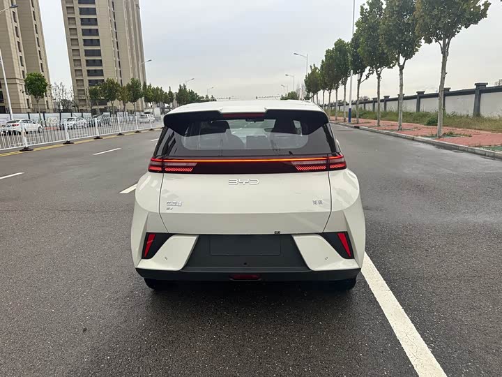 Фото 4 - BYD Seagull