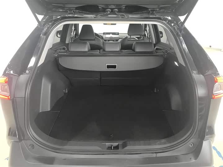 Фото 4 - Toyota Wildlander