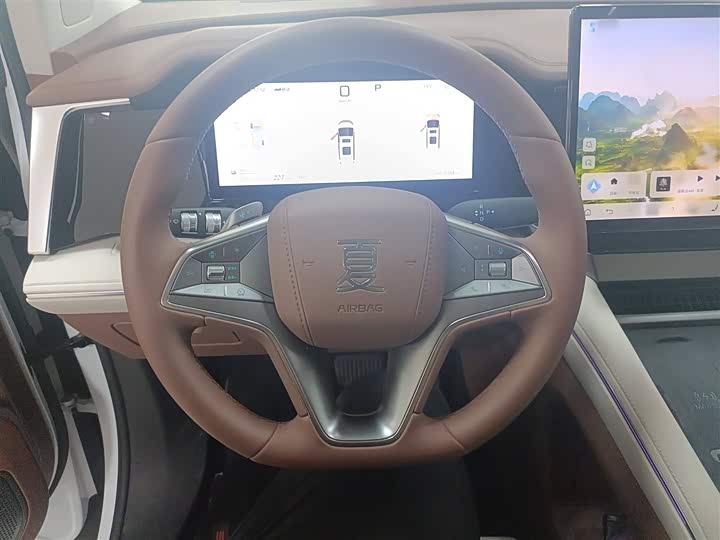 Фото 5 - BYD Xia