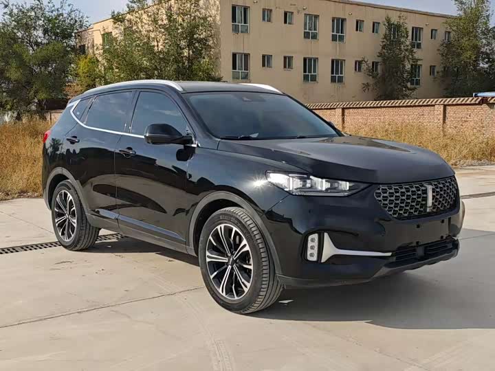 Фото 3 - Wey VV6