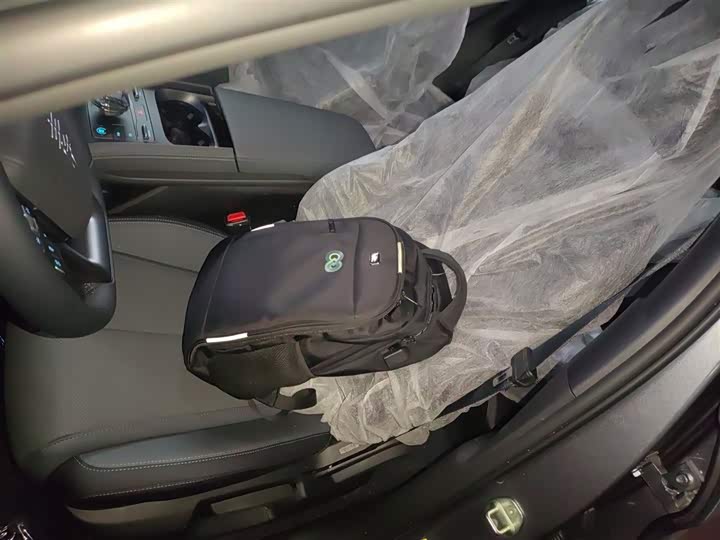 Фото 15 - BYD Qin L