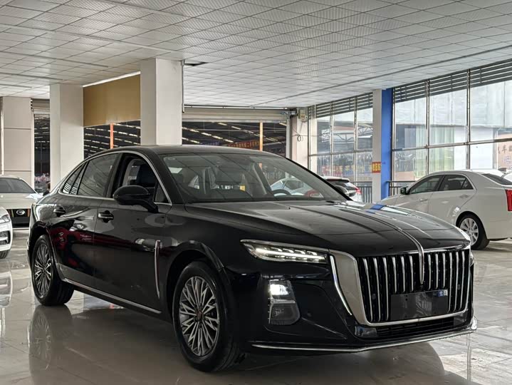 Фото 3 - Hongqi H5