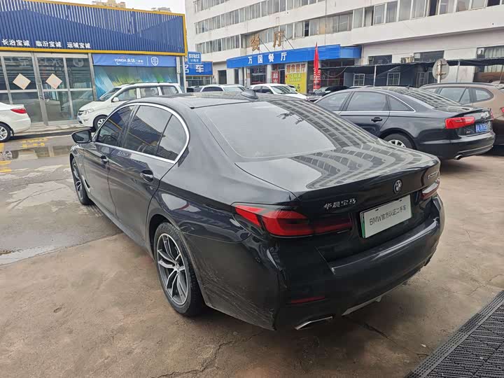 Фото 18 - BMW 5 Series Hybrid