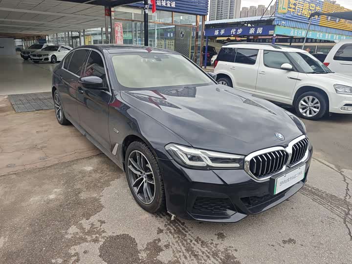 Фото 22 - BMW 5 Series Hybrid