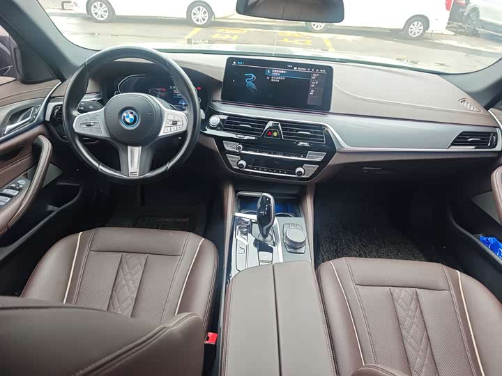 Фото 23 - BMW 5 Series Hybrid