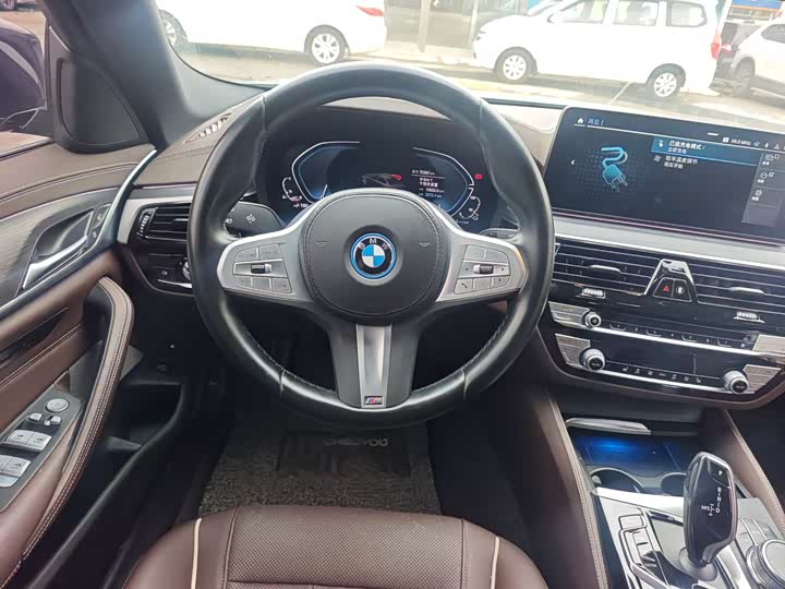 Фото 24 - BMW 5 Series Hybrid