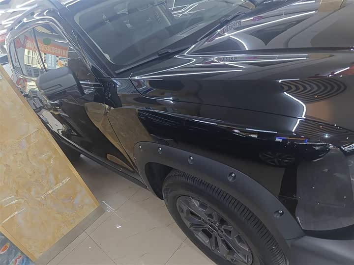 Фото 5 - Haval Dargo