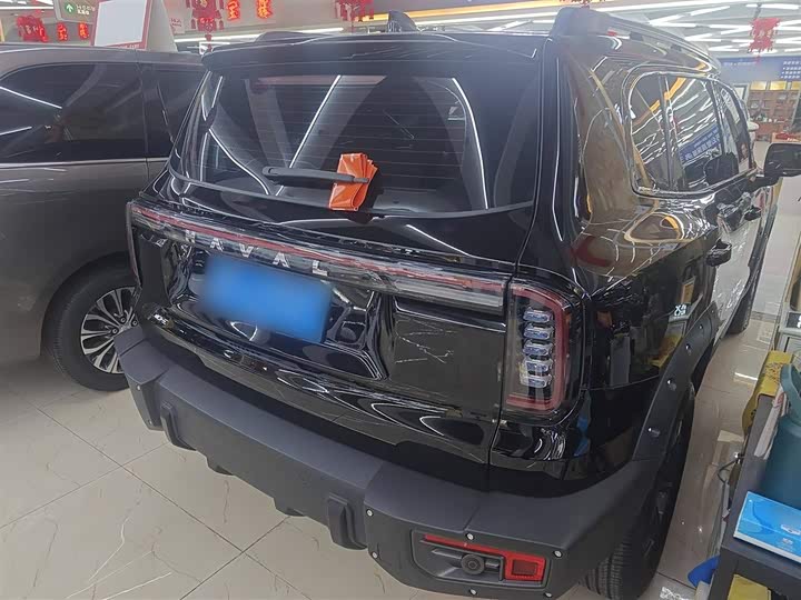 Фото 7 - Haval Dargo