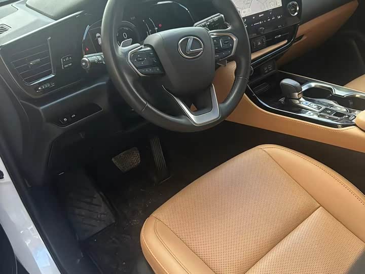 Фото 6 - Lexus NX