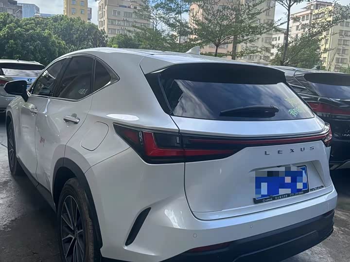 Фото 9 - Lexus NX