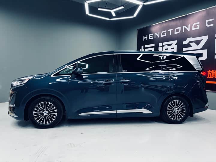 Фото 2 - Denza D9