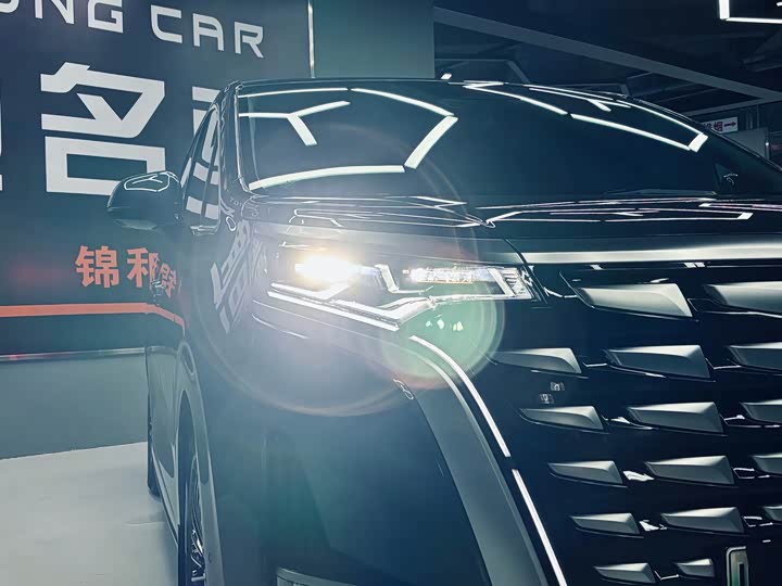 Фото 6 - Denza D9