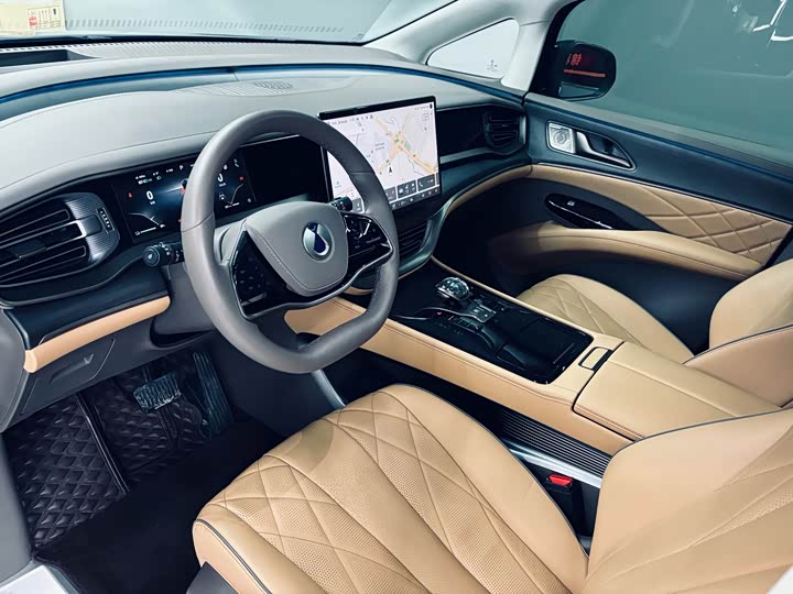 Фото 9 - Denza D9