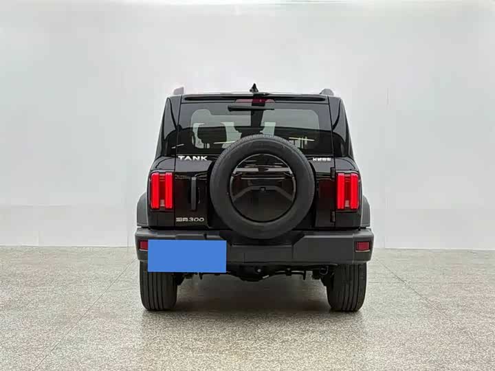 Фото 4 - Tank 300