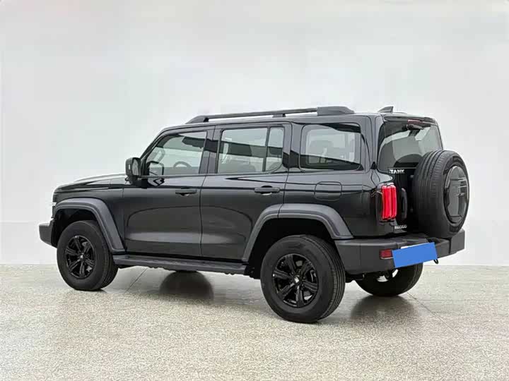 Фото 5 - Tank 300