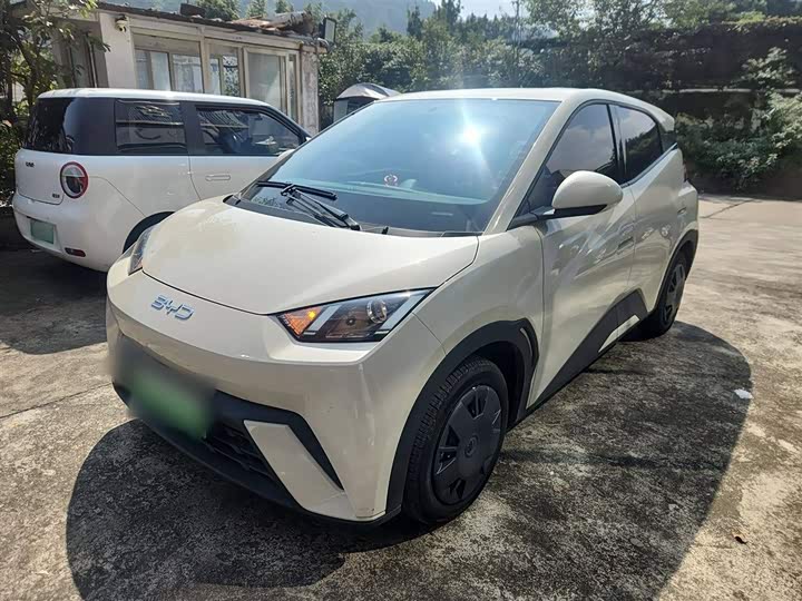 Фото 2 - BYD Seagull