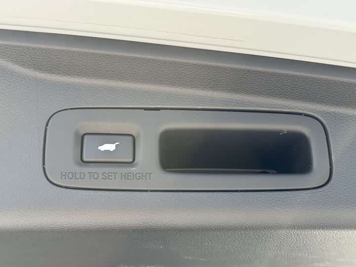 Фото 21 - Honda Elysion