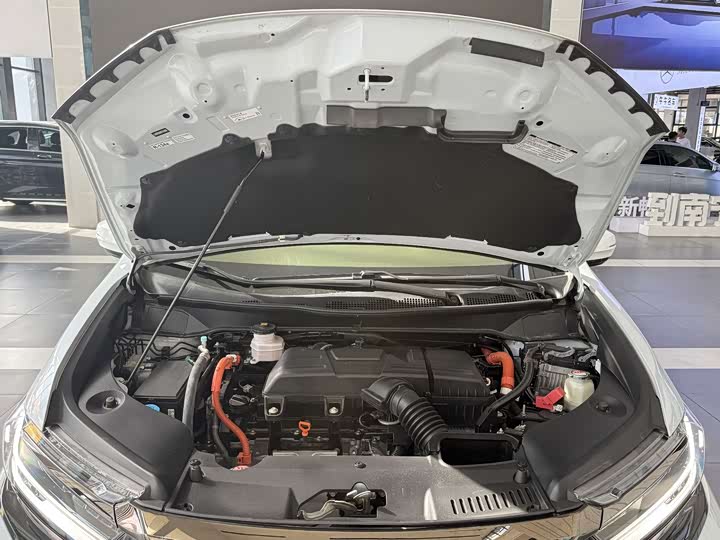 Фото 23 - Honda Elysion