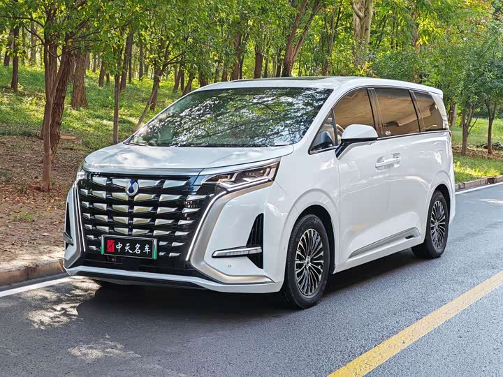 Фото 1 - Denza D9