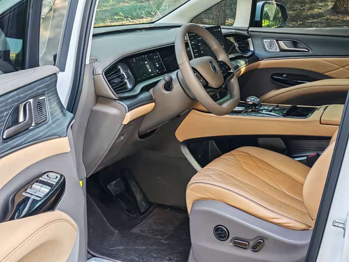 Фото 18 - Denza D9