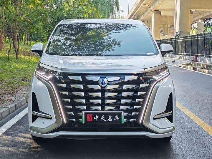 Фото 2 - Denza D9