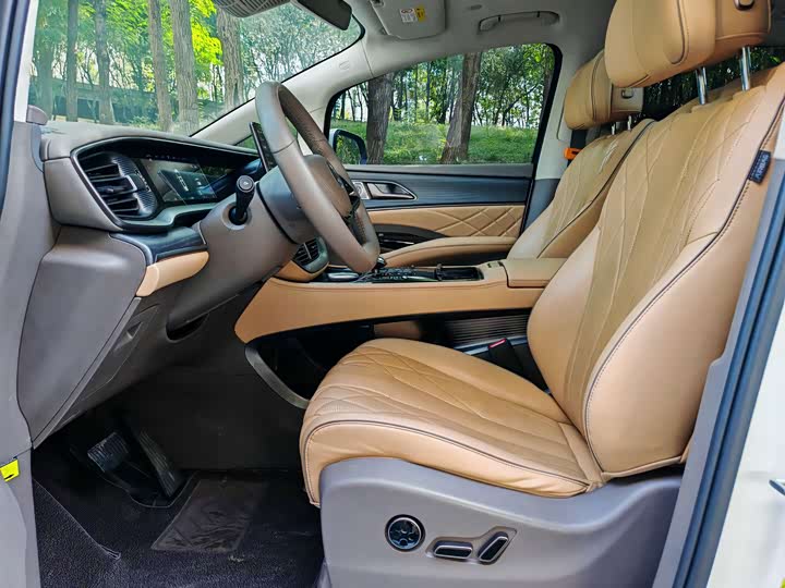 Фото 20 - Denza D9