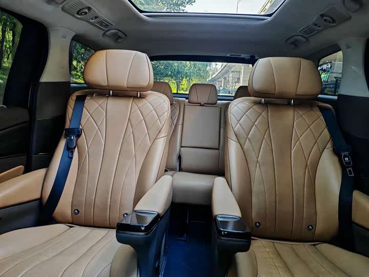 Фото 22 - Denza D9