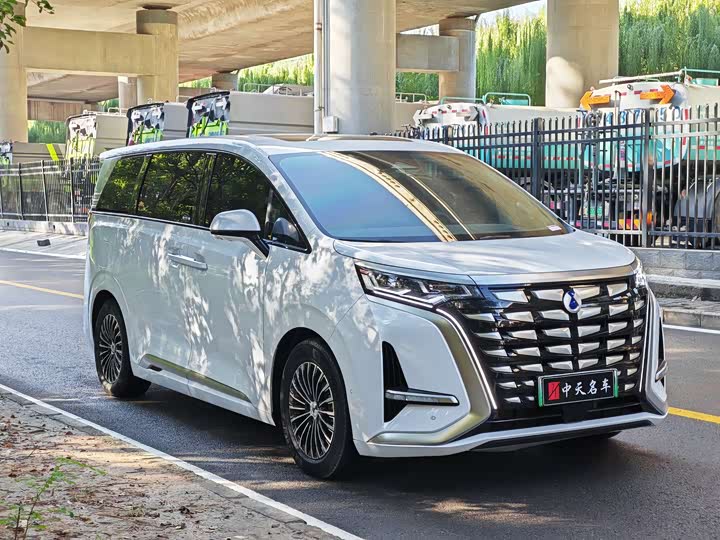 Фото 3 - Denza D9