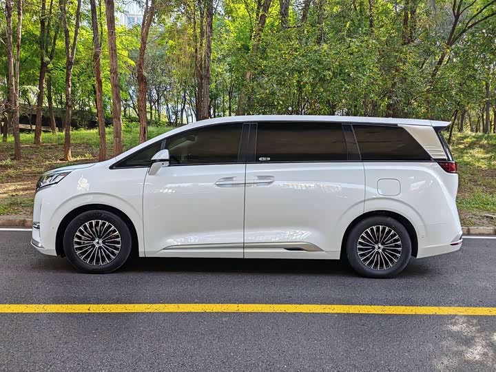 Фото 4 - Denza D9