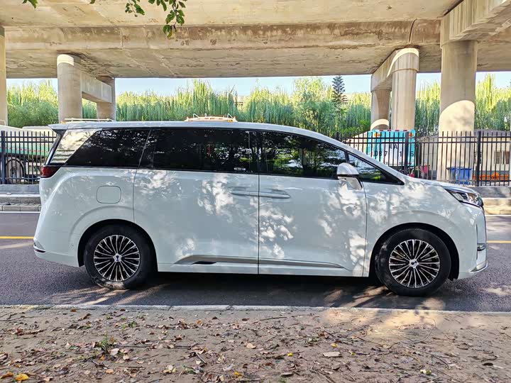 Фото 5 - Denza D9